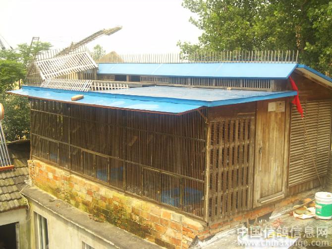 ̨ʽ����ĺ��뻵(ͼ)