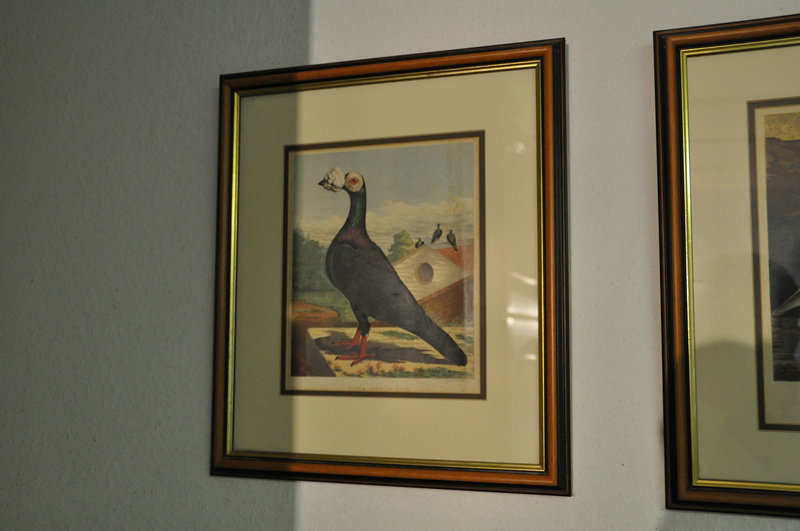 Ʒ����������007�������ղ�(ͼ)