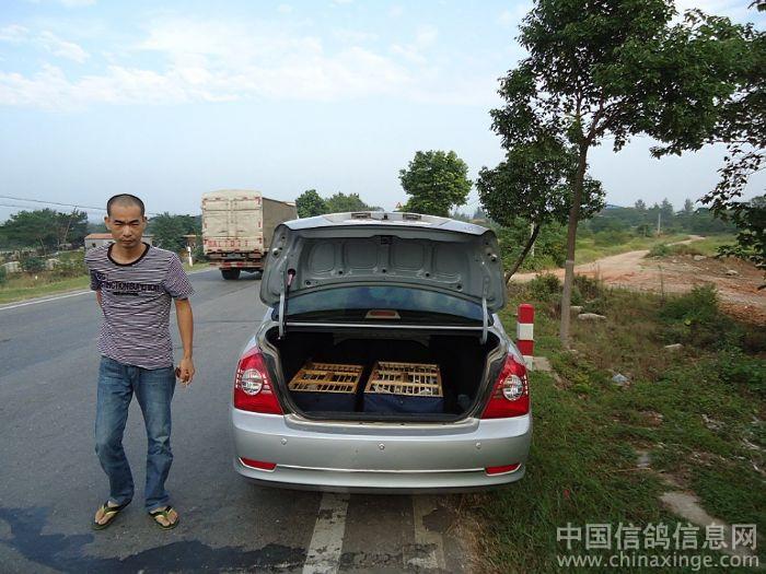 ����ǰ˽ѵ(ͼ)