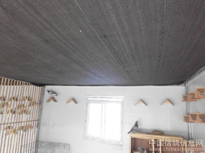 ����ʵ��������(ͼ)