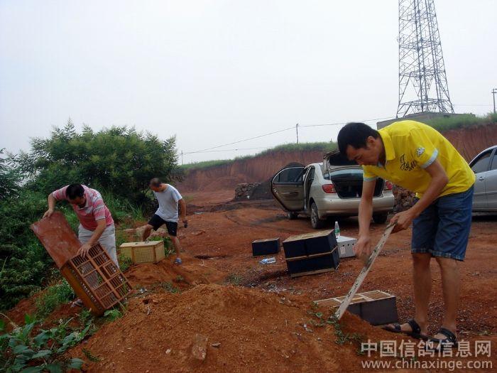 ������ѵ��æ(ͼ)