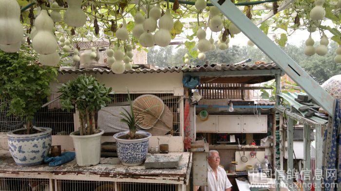 �����Դ��ƶ�̤��(ͼ)