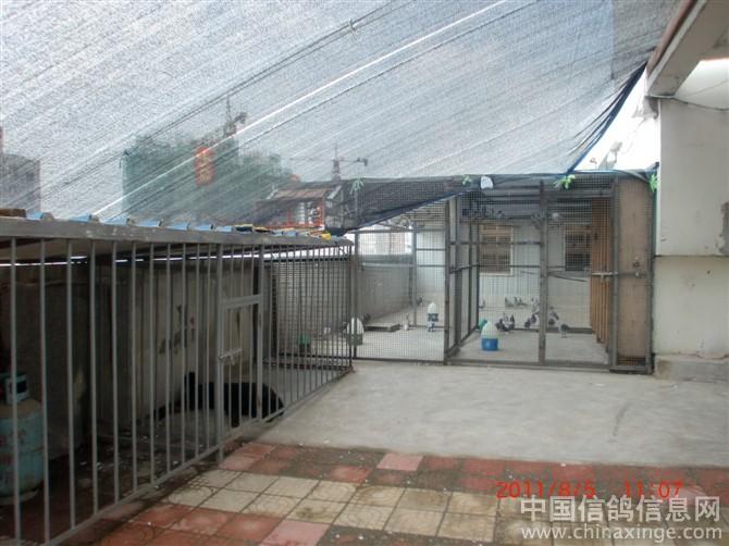 �ú�ˮ�����ĸ���(ͼ)