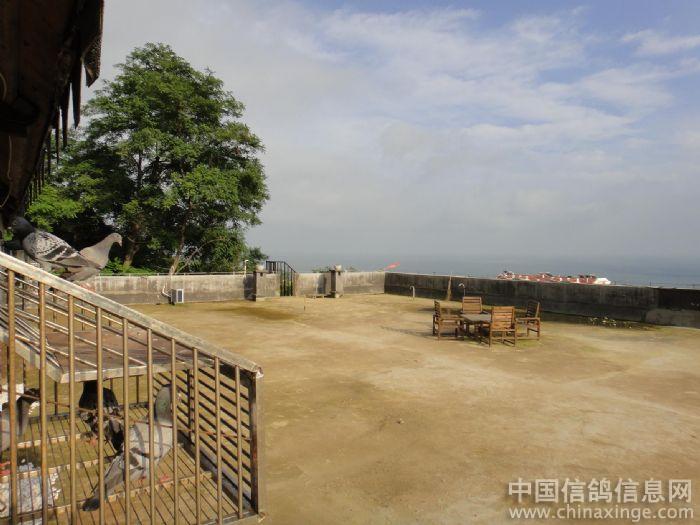 ���῿ɽ�溣(ͼ)