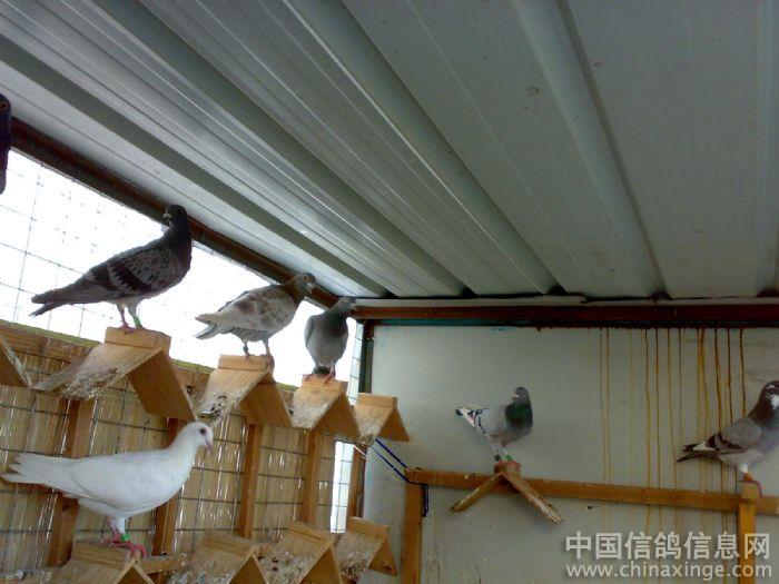 �����Ϳ���(ͼ)