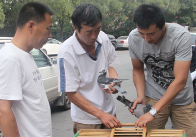 ������̨�ر�������(ͼ����Ƶ)