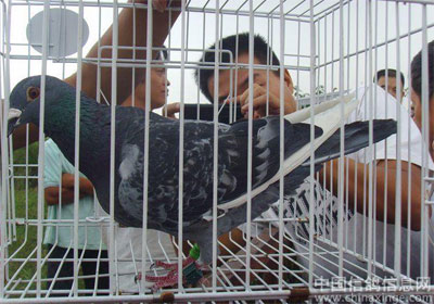 ������ӹ���Ԥ���������˹�����(ͼ)