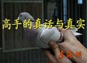 ���ֵ��滰����ʵ