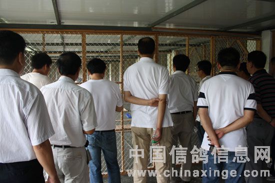 ȫ���Ÿ�Э���������ɶ����¹���