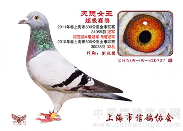 ���Ϻ�������500���������ھ�������(ͼ)