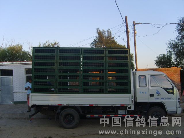 ��������᣺�˷�Ԯ�뾺����(ͼ)