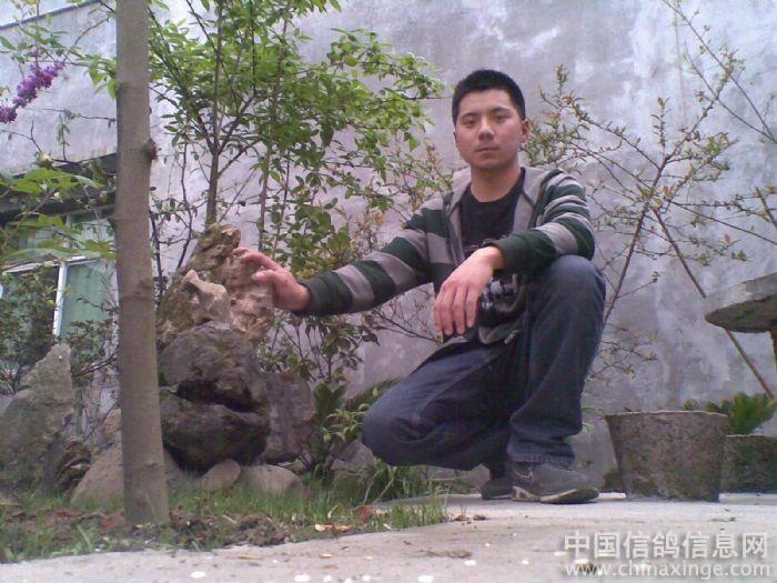 20������������(ͼ)