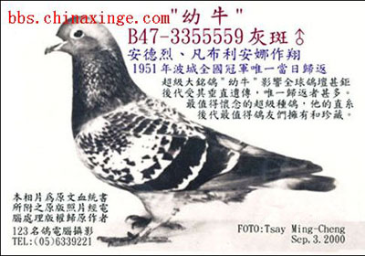 ������������������