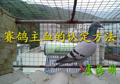 ������Ѫ���϶�����