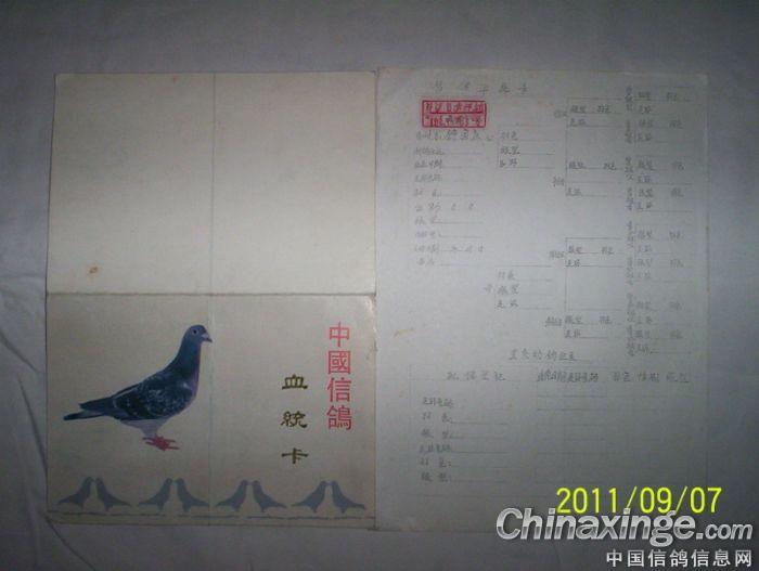 ������������(ͼ)