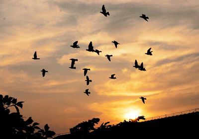 ���߷���ָ������ѡ��