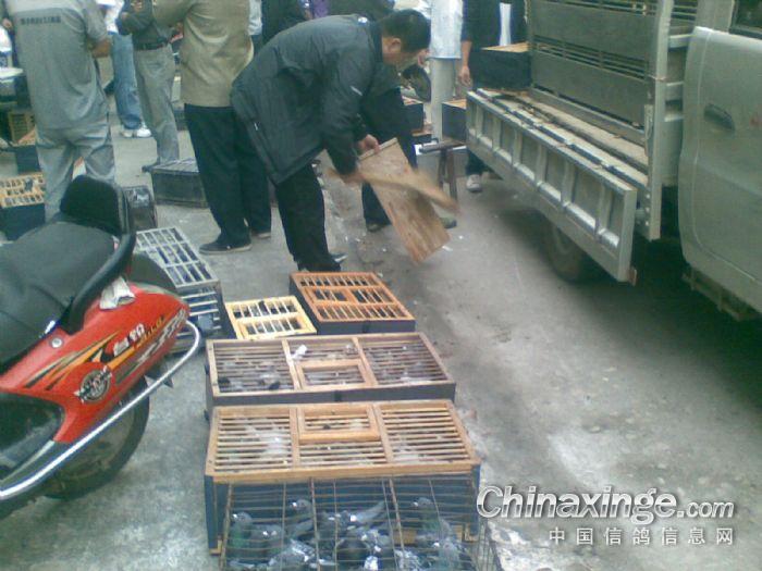 ����������ѵ����ͼ