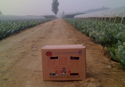 ��ѵ15����(ͼ��)