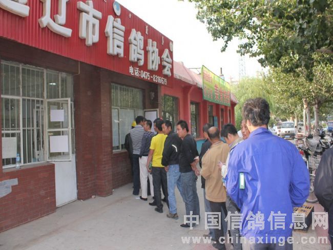 ����ͨ��300���������𼯸볡��(ͼ)