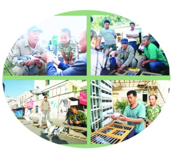 ����300�����Ϊ�Ÿ�տ�(ͼ)