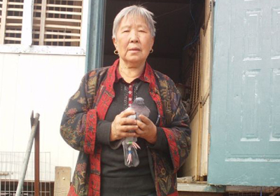 ������300���ﵱ�չ�88% ǰ���׷��(ͼ)