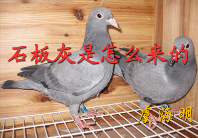 ʯ��ҵ����շ���