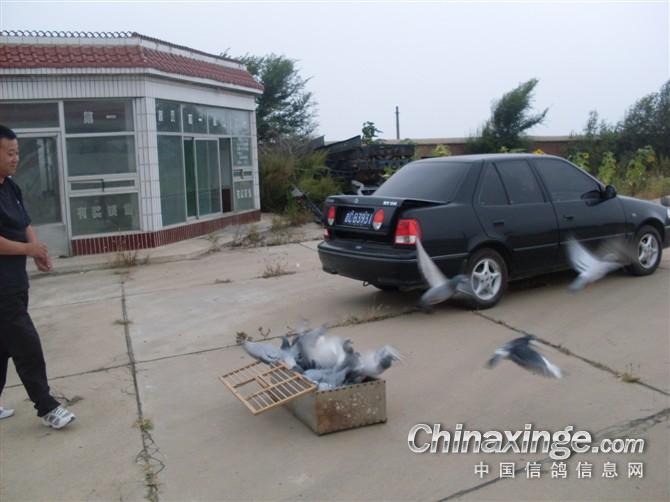 �ȵľ���С������(ͼ)