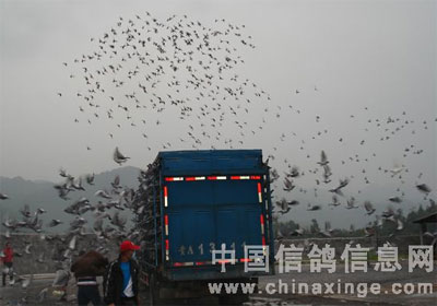 ǭԴ����Ԥ������������ָ���ھ�