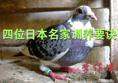 ��λ�ձ�����ѵ��Ҫ��