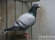 �ȴ���ֻ����