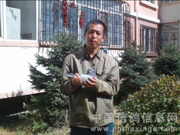 ������500���ﵱ�չ�66% ǰʮ�����(ͼ)