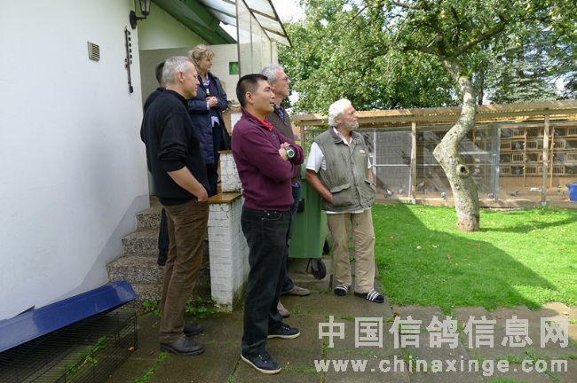 ̫����������8��ŷ����(ͼ)