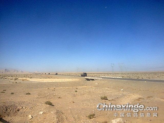 ��ɳĮѵ��(ͼ)