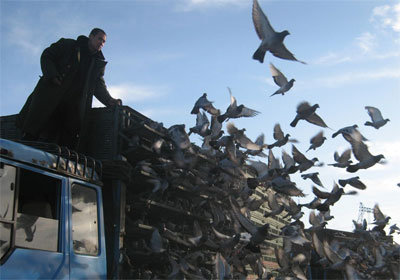 ��������7387��ɳ��߷���(ͼ)