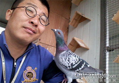 ��������(ͼ)