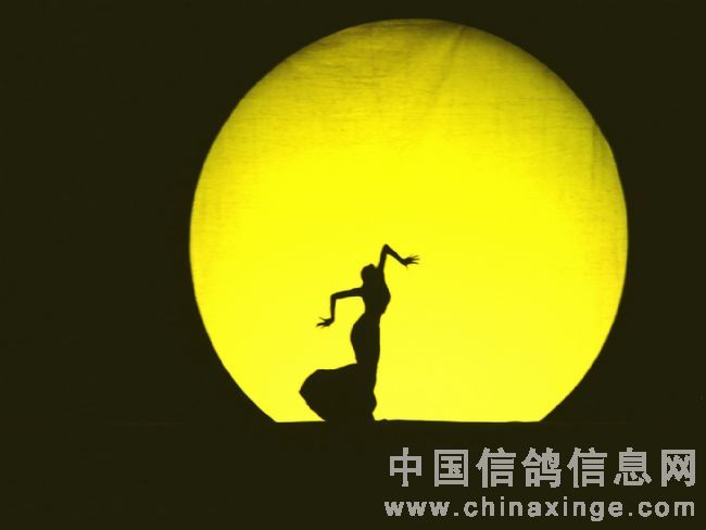 �������¹������� 