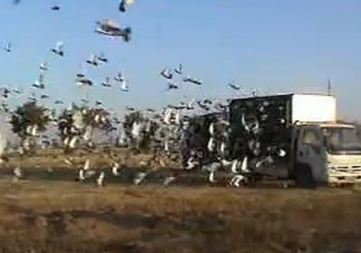 ���빫����ǧ�����뵱�չ�89��