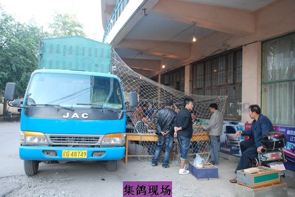 �����׸�������������(ͼ)