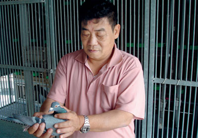 ̨�崺�������ۺ��Ǿ���־Ԩ(ͼ)