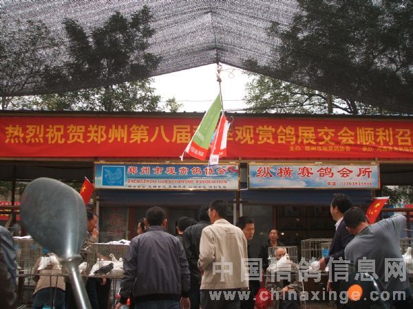 ԭ֣¡ؾٰڰ˽͸չ(ͼ)