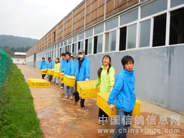 ���ϲ��¹���9.27·ѵ����(ͼ)