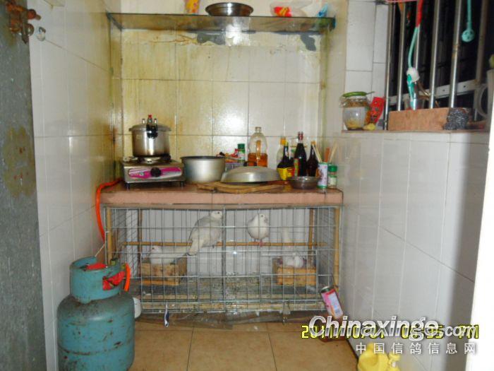 ʷ����ǿ���Ͼӡ�(ͼ)