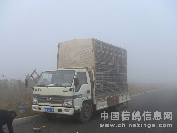 �����Ԫ�ٻ�ʧ�� ���������Ĺ��