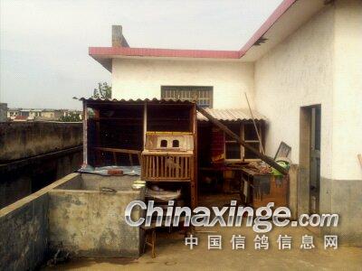 ����С����(ͼ)