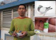 �����İٹ���4723��ǰʮ���(ͼ)