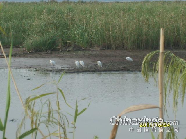 �ŷ������ϼ�ɽ(ͼ)