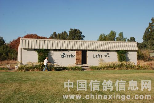 ������ǿ�������˹.����(ͼ)