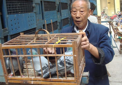 �Ĵ��������������Ͻڼ��뻨��(ͼ)