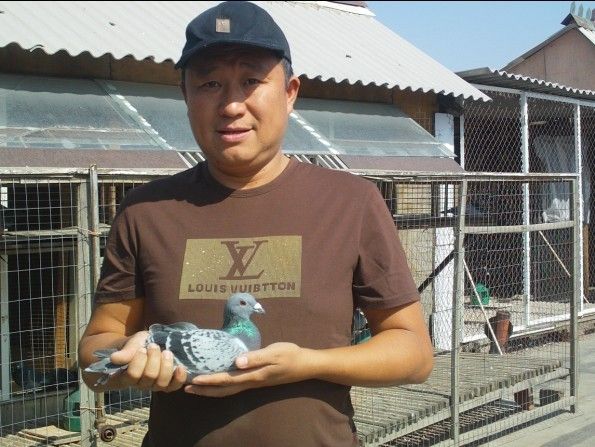 �������峡�����������£���߹鳲�ʴ�88%(ͼ)