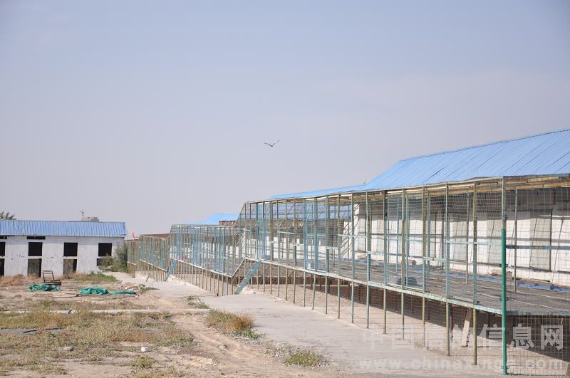 �������1643���չ�44�� ǰʮ������(ͼ)